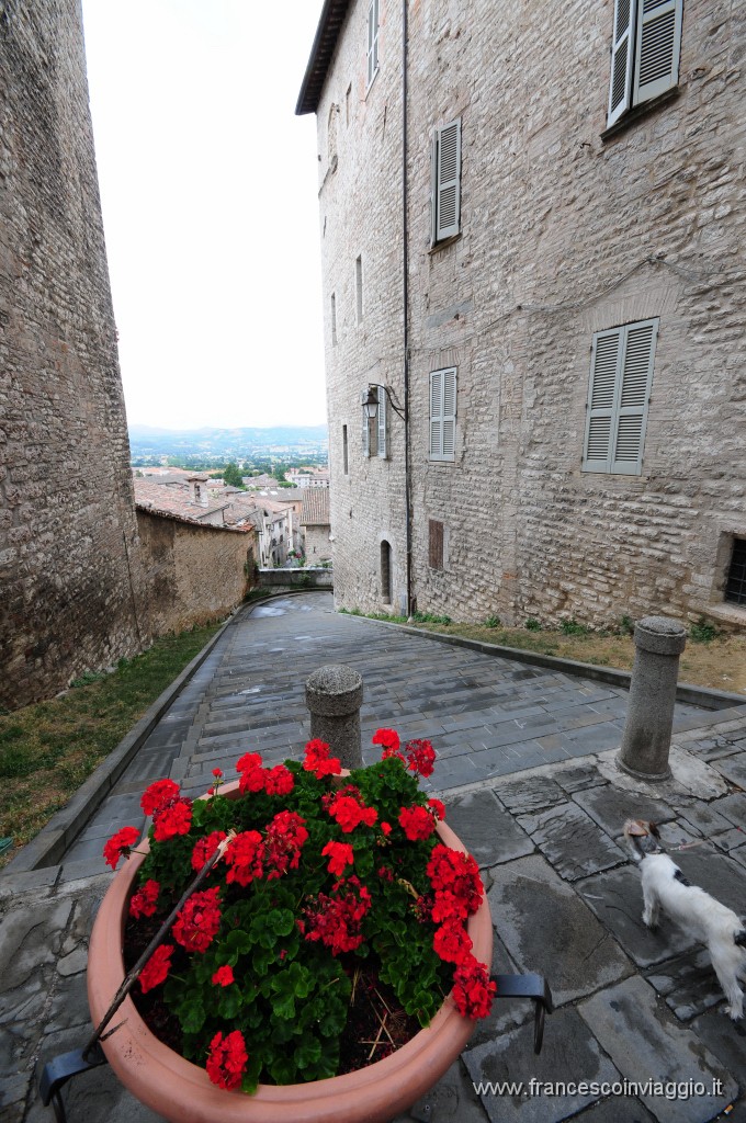 Gubbio 2011.07.24_2.JPG